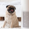 Can Air Filters Effectively Filter Asbestos?