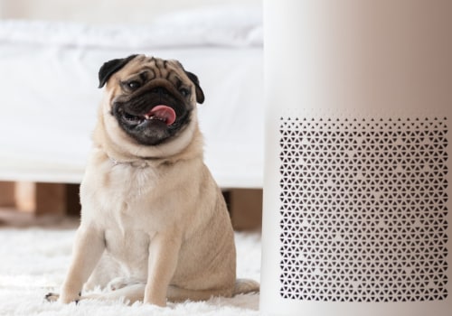 Can Air Filters Effectively Filter Asbestos?